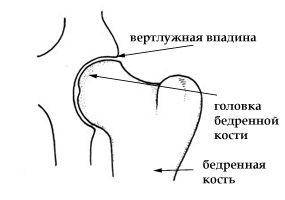 Эрго-рюкзак: с какого возраста носить; типичные ошибки