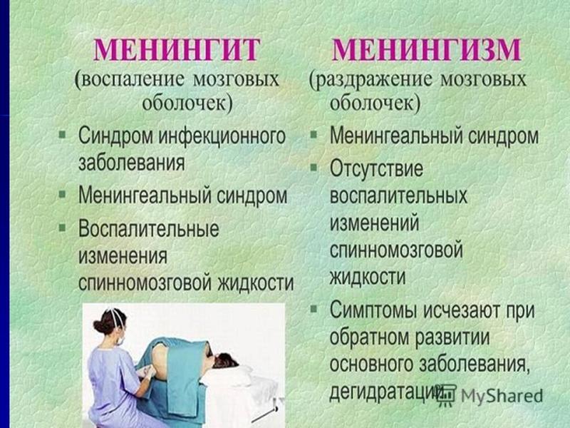 Менингит симптомы температура. Менингит и менингизм. Менингизм и менингит отличия. Менингизм у детей симптомы. Менингеальный синдром и менингизм.