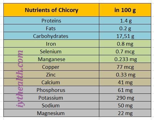 Nutrients of Chicory