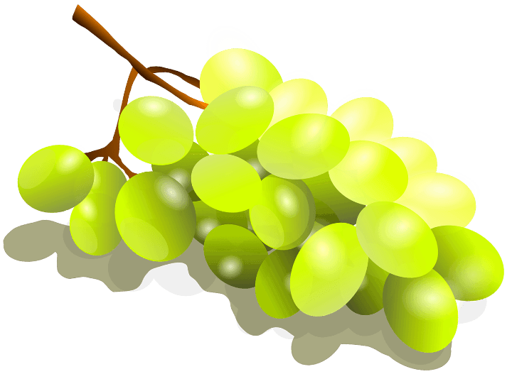 шаблон виноград
