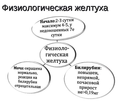 отличие физиологической желтухи от патологической