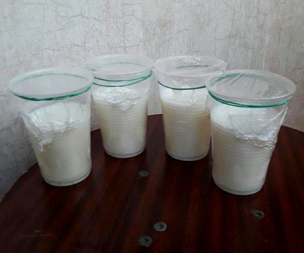 Молоко с козьим жиром от кашля при вирусном или бактериальном поражении бронхов – очень эффективное средство лечения