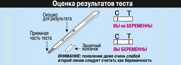 Использование струйных тестов на беременность