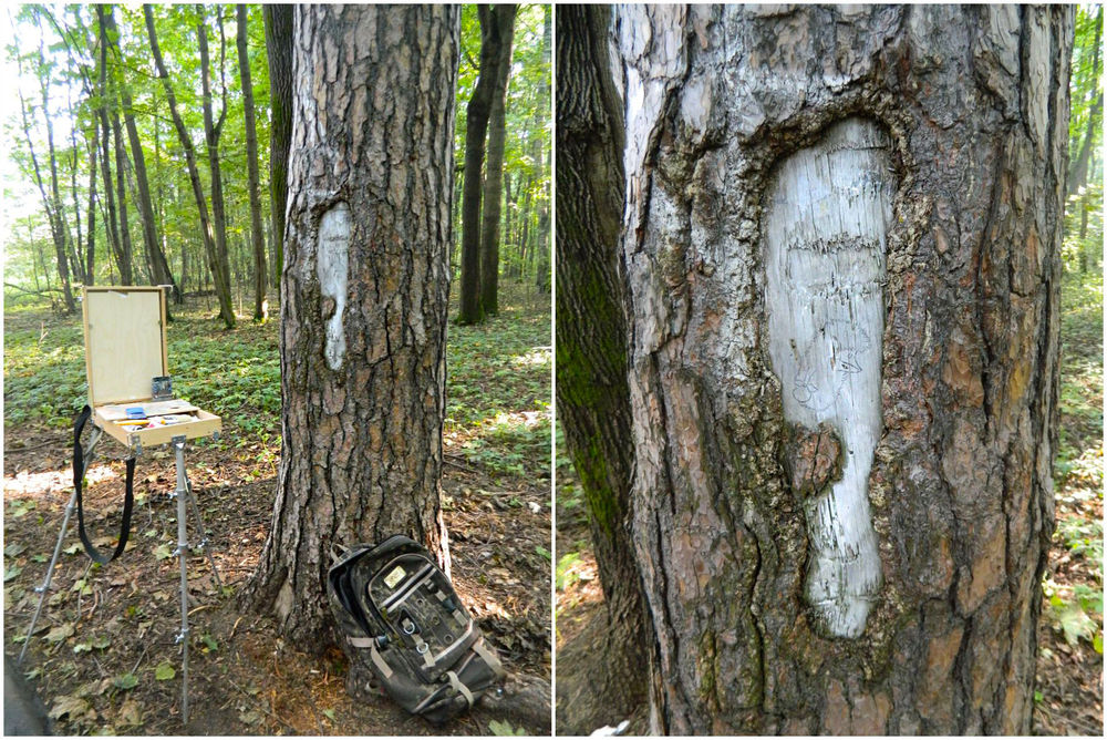 Рисунки на деревьях - Ёжик возвращается в лес!, фото № 6