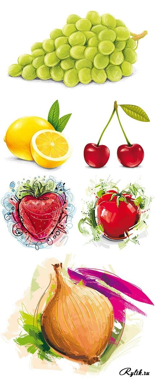 Нарисованные картинки фрукты для детей 001