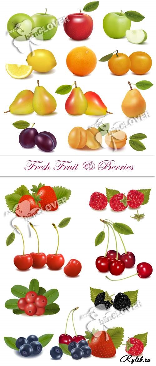 Нарисованные картинки фрукты для детей 024