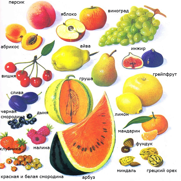 Нарисованные картинки фрукты для детей 026