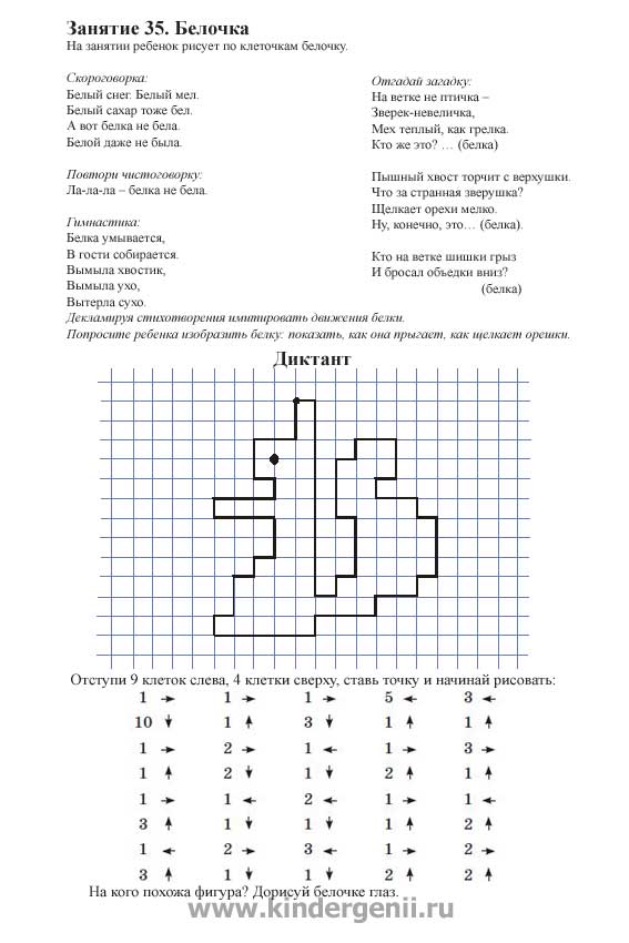 Графический диктант для дошкольников. Рисование по клеточкам белочки