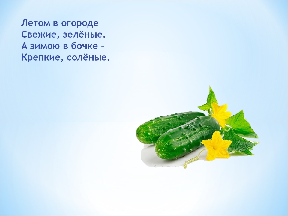 Загадки про овощи для детей 5 лет. Летом в огороде свежие зеленые а зимою в бочке крепкие соленые. Загадки про зеленые овощи и фрукты. Летом в огороде свежие зеленые а зимой в бочке. Как сделать открытку на загадку овощи.