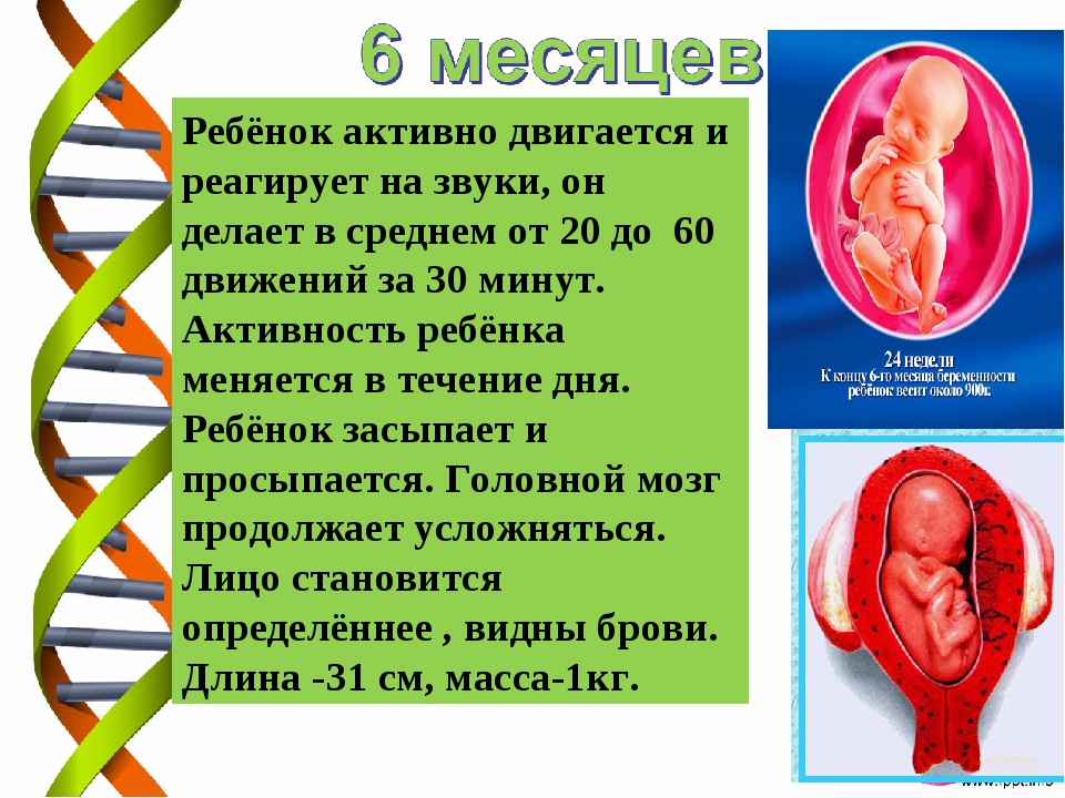 Неделя шевеления плода. На каком сроке беременности начинает шевелиться ребёнок. Во сколько начинает шевелиться ребенок. На какой неделе начинает шевелиться ребенок. Во сколько месяцев ребёнок начинает шевелиться в животе.