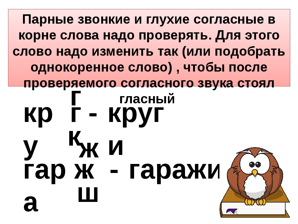 Слова с парными по глухости звонкости согласными