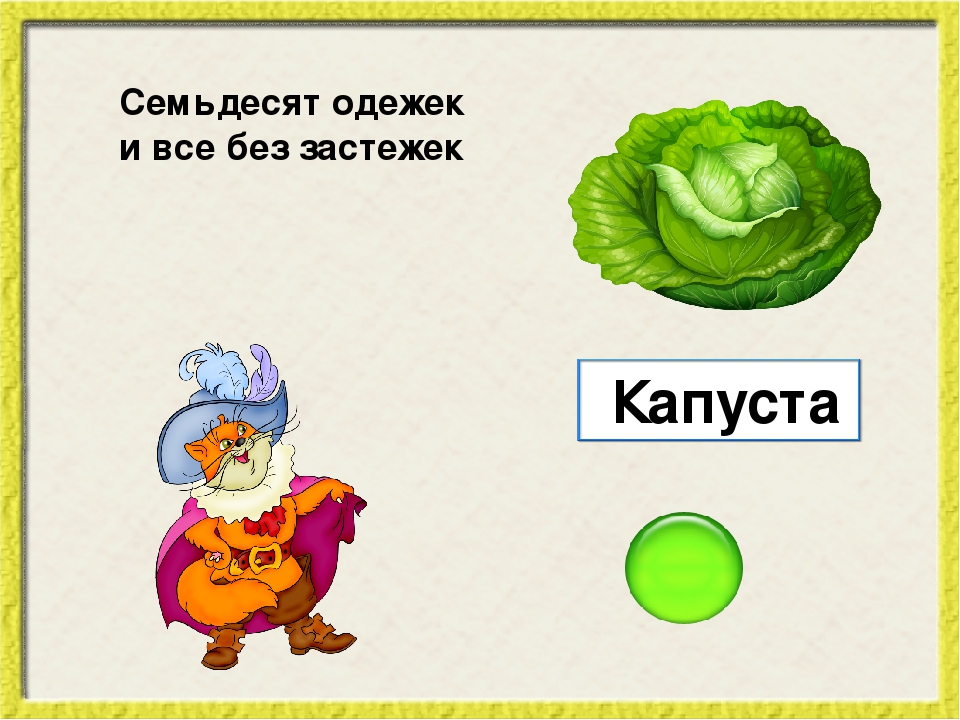 Капуста загадка. Загадка про капусту. Загадка про капусту для детей. Загадки про овощи для детей капуста. Загадка про капусту для дошкольников.