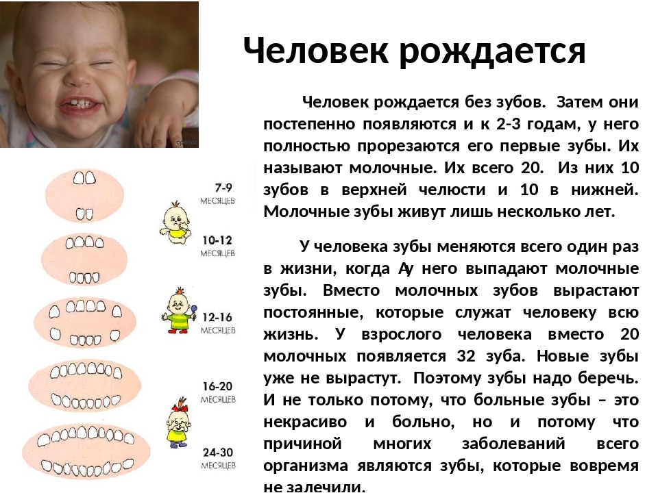 Режутся зубы у ребенка во сколько месяцев. Человек рождается без зубов первые зубы появляются. Молочные зубы у грудничков. Когда появляются первые зубки у малышей. Когда у детей появляются зубы у новорожденных.