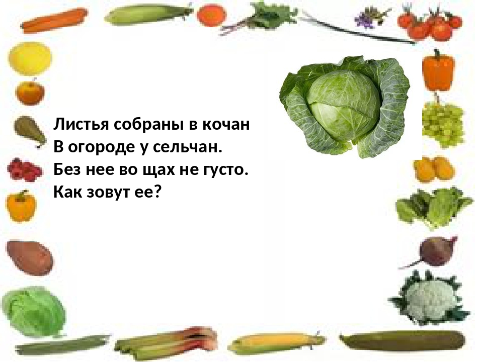 Загадки про овощи для детей 5 лет. Загадки на тему огород. А коса на улице загадки про овощи. Загадки для малышей про овощи и огород. Загадка про щи.