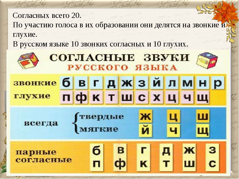 Схема глухие согласные звонкие согласные