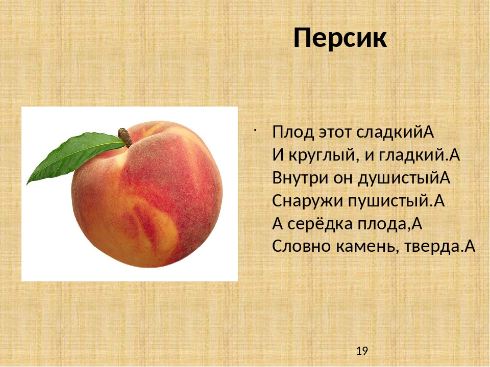 Корни образования горькие но плоды. Загадка про персик. Загадка про нектарин для детей. Загадка про персик для детей. Загадки про фрукты.