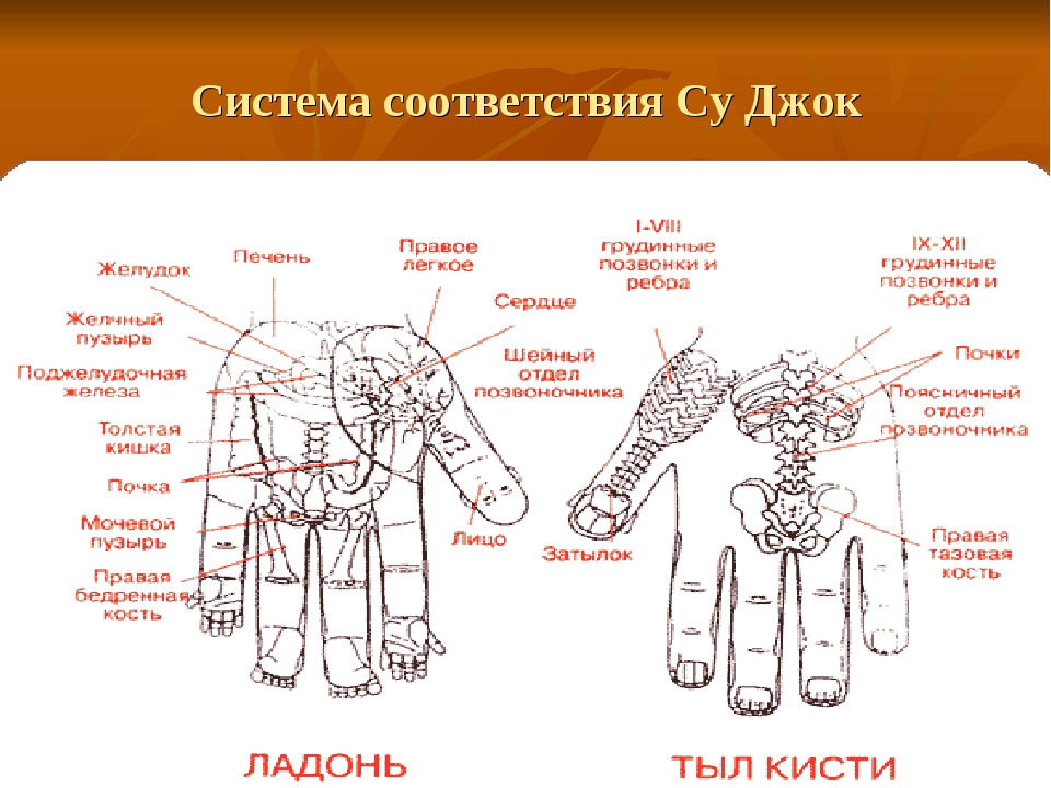 Точки соответствия. Стандартная система соответствия Су Джок. Системы соответствия Су Джок на ладони. Су Джок система соответствия кисти. Су Джок соответствие кисти.