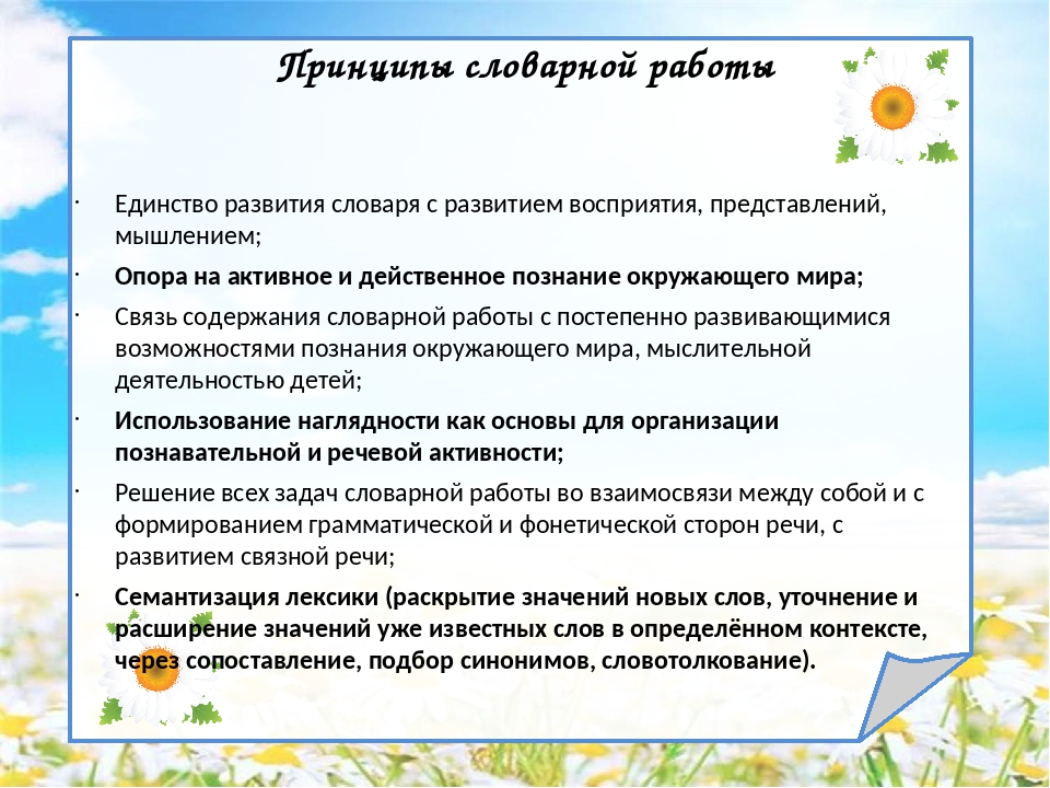 Слова для словарного запаса. Принципы развития словаря детей дошкольного возраста. Принципы словарной работы в ДОУ. Задачи формирования словаря. Приемы обогащения словаря детей.