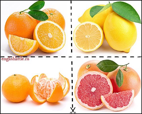 Такие карточки с изображением апельсина, лимона, мандарина и грейпфрута легко разрезать на части и использовать для игр