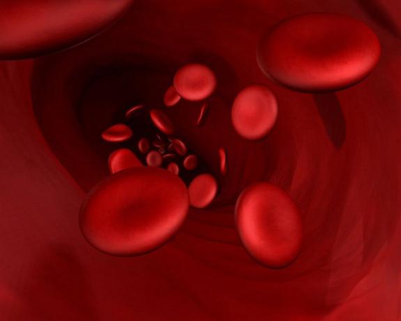 определение группы крови ребенка по крови родителей