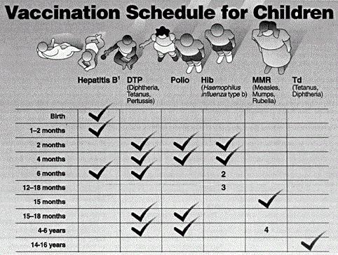 прививки детям после года график
