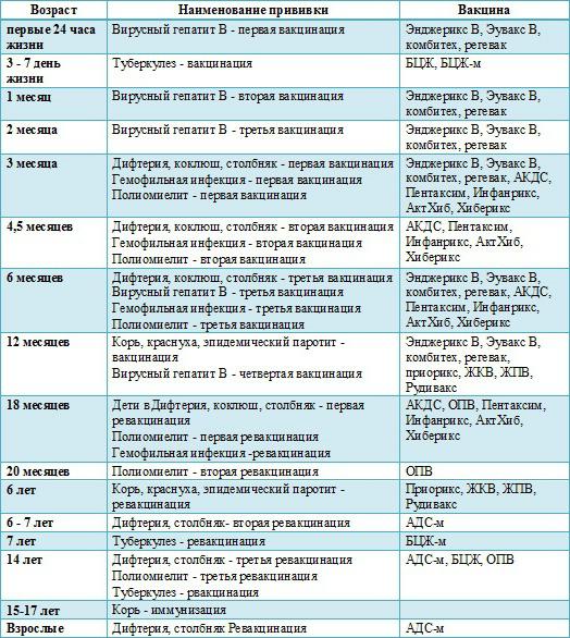 прививки детям график россия