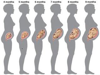 шевеление плода при беременности 18 недель