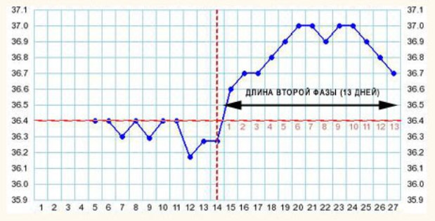 График базальной температуры