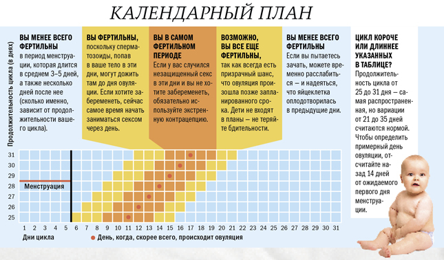 Об овуляуции