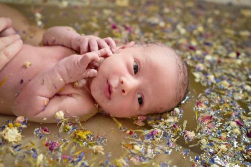 Ванна для младенца с травами