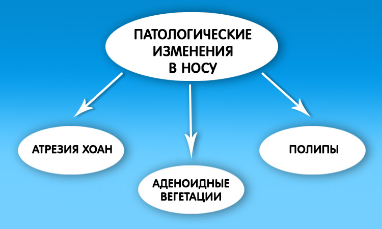 Патологические изменения в носу