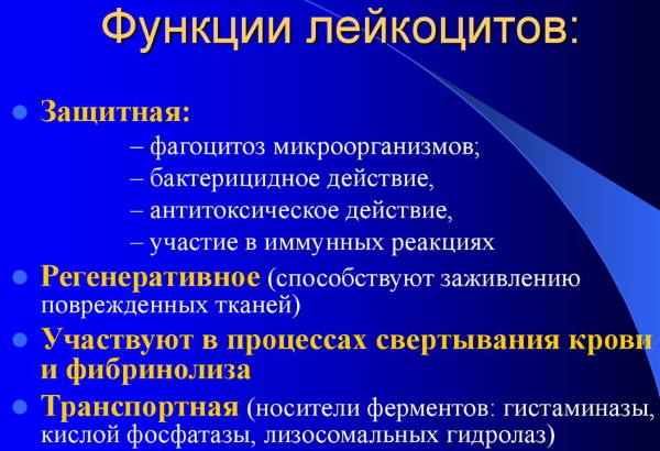 Эозинофилы у ребенка. Норма, почему повышены, отсутствуют, понижены в крови. Причины