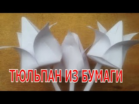 Как сделать тюльпан из бумаги. Оригами.