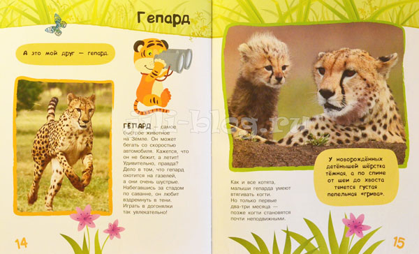 Энциклопедия о животных для малышей Фото страниц