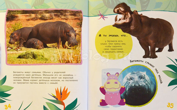 Энциклопедия животных для малышей Фото разворота
