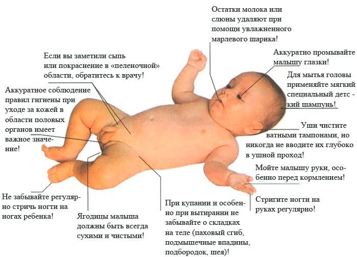 Режим дня новорожденного в первый месяц жизни по часам, при грудном, на искусственном вскармливании