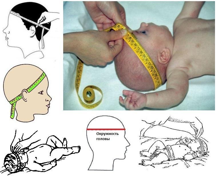 Измерение диаметра головы новорожденного