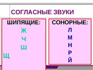 Сонорные согласные  в русском языке  