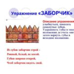 Артикуляционная гимнастика для звуков с , з, ц