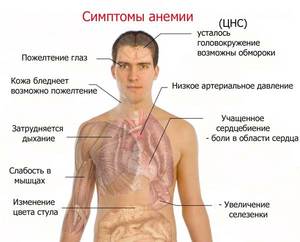 Как питаться при повышенном гемоглабине