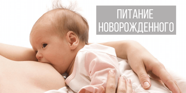 Питание новорожденного