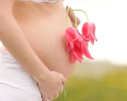 Месячные во время беременности 