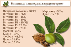 Витамины и минералы в грецком орехе