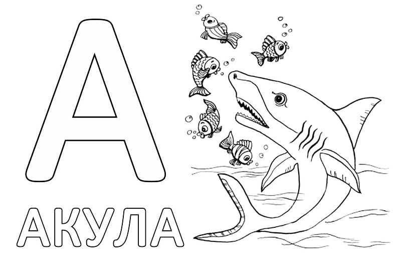 слова на букву А для детей в начале слова - акула