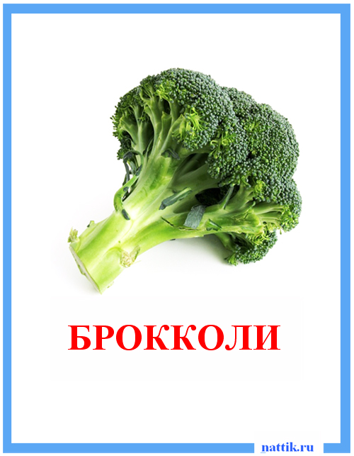 kartochki_ovoschi_brokkoli