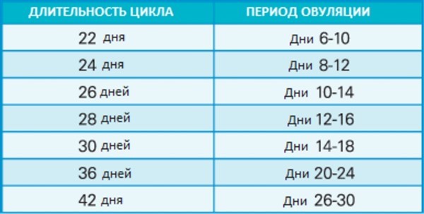 Как узнать, когда будет овуляция - методы диагностики