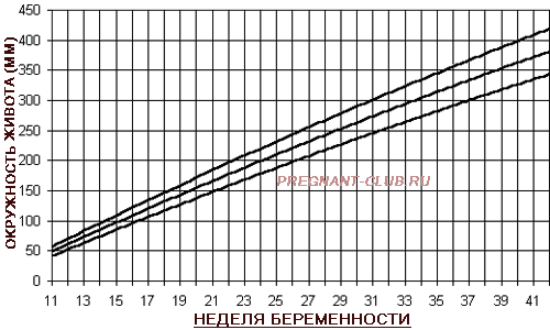 График окружности живота плода