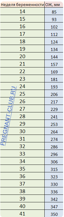 Окружность живота - таблица значений по неделям