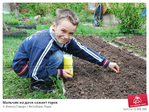 Во сколько садят мальчиков. Мальчик сеет. Мальчик сеет семена. Мальчик сажает цветы. Картинка мальчик сажает семена.