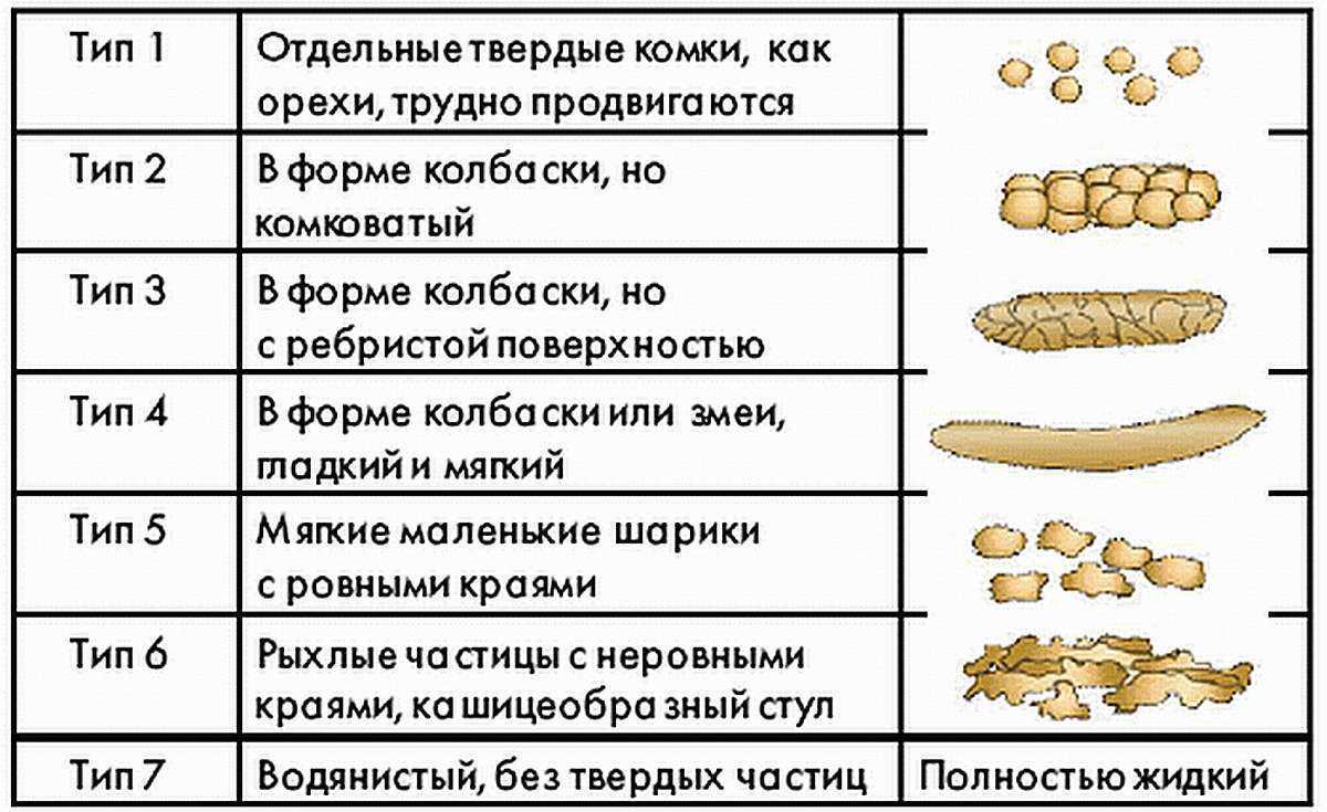 виды кала